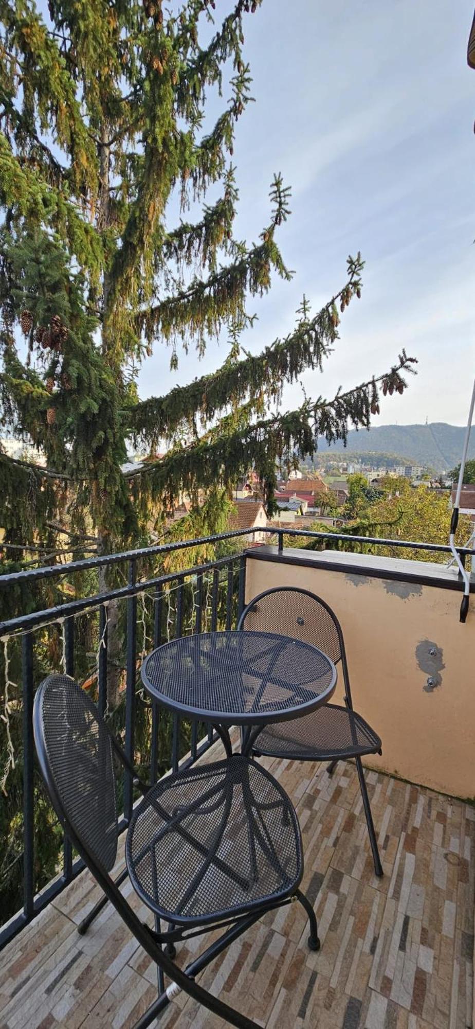 Albertview Apartament Brașov